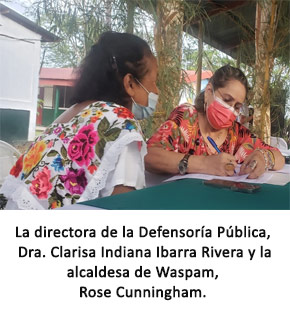 defensores