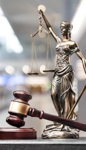 tribunales